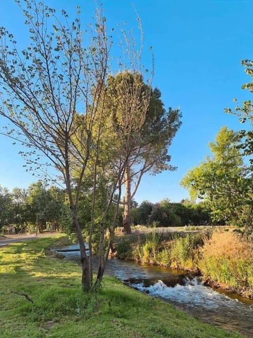קסם של אירוח Hagoshrim Exterior foto